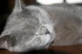 /album/fotogalerie-tierisches/a76683-166543923369579-100000419169748-448695-977923-n-jpg/