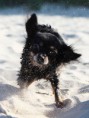 /album/fotogalerie-tierisches/img-3492-jpg/